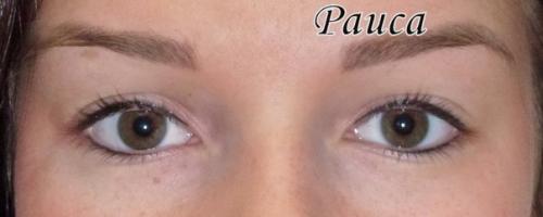 Милые дамы? Кто желает экономить время на каждодневном макияже? 06 Милые дамы? Кто желает экономить время на каждодневном макияже? 06