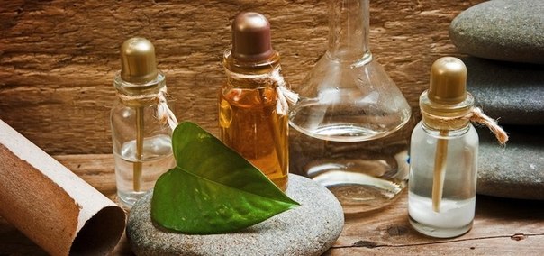 8 самых полезных масел по нашему мнению.