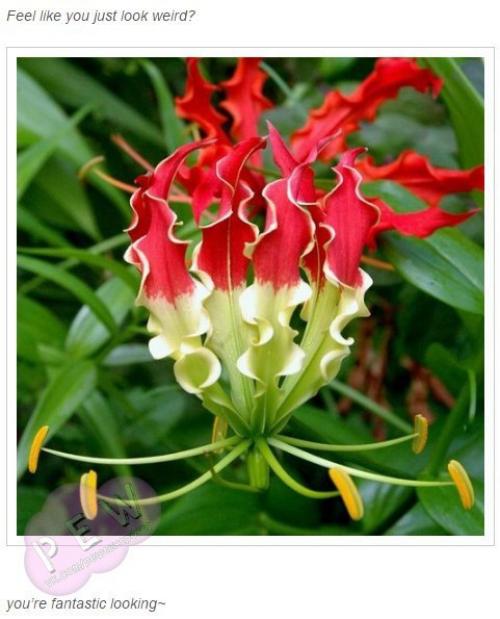 Как насчет повышения самооценки? 07