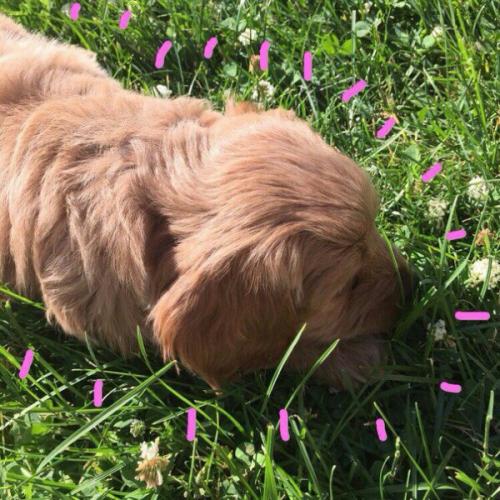 Идеи, что снять на ютуб (ютюб, ютьюб? 02 Идеи, что снять на ютуб (ютюб, ютьюб? 02