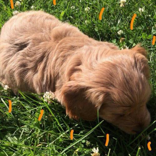 Идеи, что снять на ютуб (ютюб, ютьюб? 01 Идеи, что снять на ютуб (ютюб, ютьюб? 01