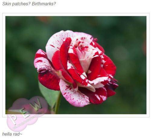 Как насчет повышения самооценки? 02