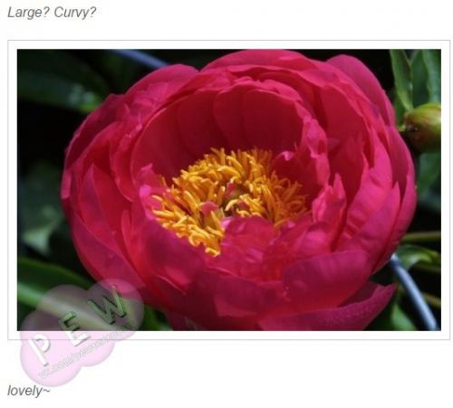 Как насчет повышения самооценки? 04