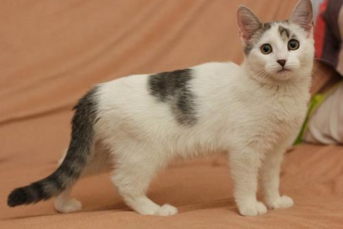 Мы набираем группу на курс макияж для себя. 03