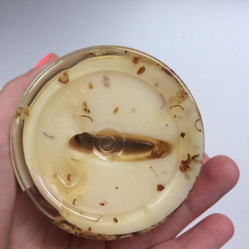 У кого есть проблема с пересушенными веками? 03