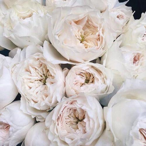 Тест, который поможет найти Свой аромат? 03