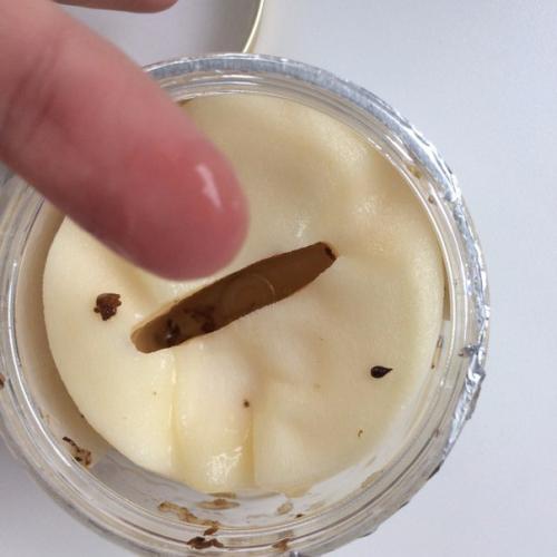 У кого есть проблема с пересушенными веками? 02