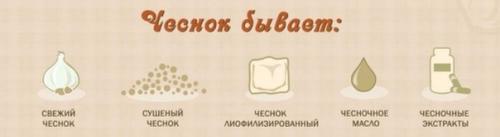 Чеснок - польза для здоровья. 04