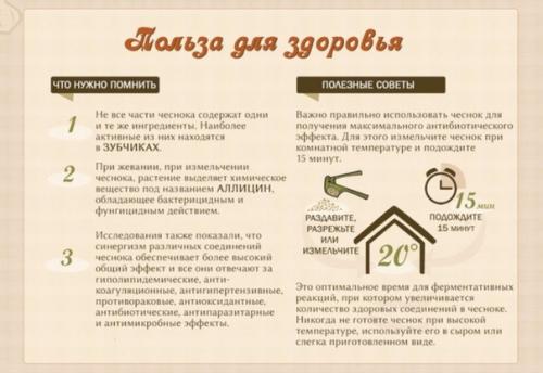 Чеснок - польза для здоровья. 01