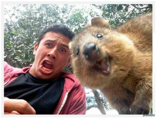 Как сделать идеальное селфи, девочки, нам на заметку? 02 Как сделать идеальное селфи, девочки, нам на заметку? 02