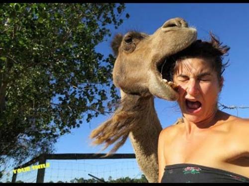 Как сделать идеальное селфи, девочки, нам на заметку? 03 Как сделать идеальное селфи, девочки, нам на заметку? 03