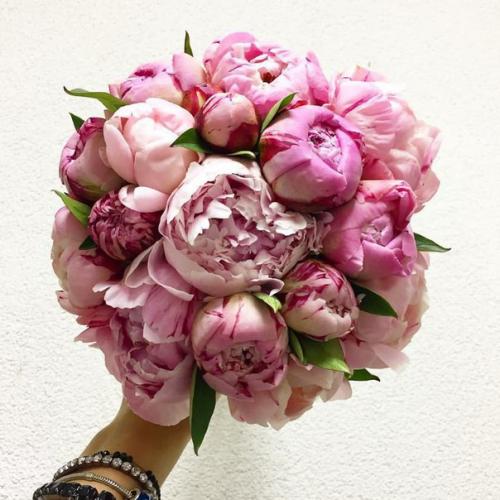 День 15 Часть 2. 01