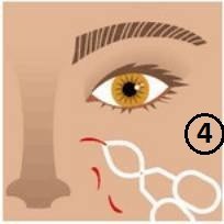 Пошаговая Инструкция ДЛЯ Определения Правильной Формы Бровей. 04 Пошаговая Инструкция ДЛЯ Определения Правильной Формы Бровей. 04