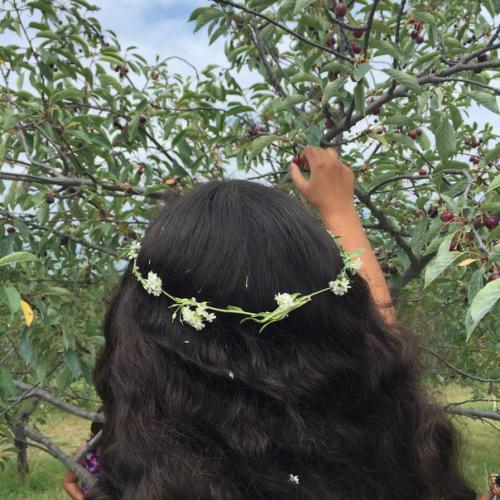 Полезные масла для красоты волос, кожи лица и тела. 01 Полезные масла для красоты волос, кожи лица и тела. 01