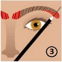 Пошаговая Инструкция ДЛЯ Определения Правильной Формы Бровей. 03 Пошаговая Инструкция ДЛЯ Определения Правильной Формы Бровей. 03