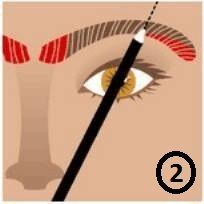 Пошаговая Инструкция ДЛЯ Определения Правильной Формы Бровей. 02 Пошаговая Инструкция ДЛЯ Определения Правильной Формы Бровей. 02