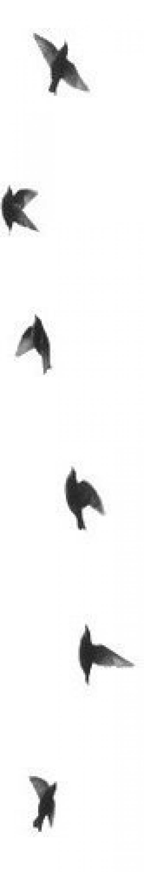 Советы_PRT? 9 бьюти - советов для ленивых? 04 Советы_PRT? 9 бьюти - советов для ленивых? 04