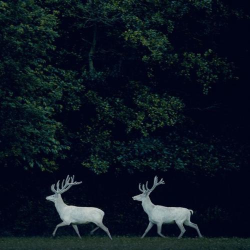 На следующий же день после посещения лагеря Аланом бадоевым, все меры стали еще строже. 01 На следующий же день после посещения лагеря Аланом бадоевым, все меры стали еще строже. 01