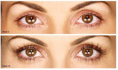 Карепост?  Пошаговая. Инструкция. 02