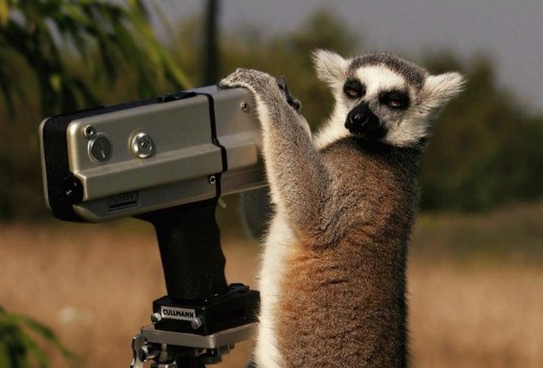 Топ свадебных ошибок! 02 Топ свадебных ошибок! 02