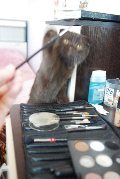 Научиться краситься за один день перед следующими праздничками) , Велком на Мейк для себя! =). 07