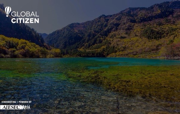Aiesec Gcitizen China. 03