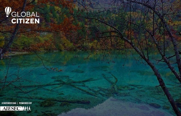 Aiesec Gcitizen China. 04