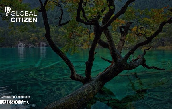 Aiesec Gcitizen China. 02