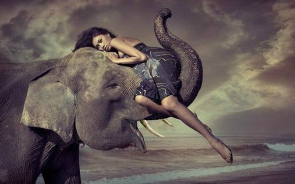 * Вкусное и притягательное состояние женщины *. * Вкусное и притягательное состояние женщины *.