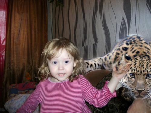 Ретушь фотографий.  Что можно сделать с фотографией: 03