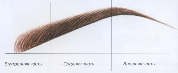 Красивые брови - богатая рамка для глаз! 01 Красивые брови - богатая рамка для глаз! 01