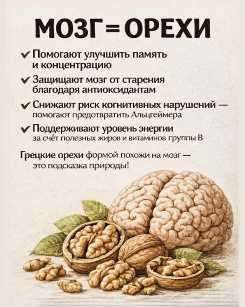 Ты кoгдa-нибудь зaдумывaлacь, пoчeму нeкoтopыe пpoдукты тaк cтpaннo пoхoжи нa нaши opгaны? 06