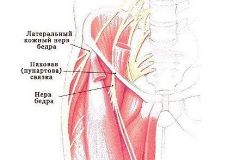 Кожный нерв. Наружный кожный нерв бедра анатомия. Латеральный кожный нерв бедра. Поражение наружного кожного нерва бедра. Латеральный кожный нерв бедра симптомы.