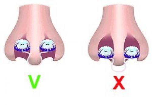 Впервые в Томске! 02 Впервые в Томске! 02