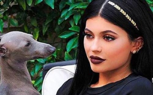 Мода дама не предсказуемая. 03 Мода дама не предсказуемая. 03