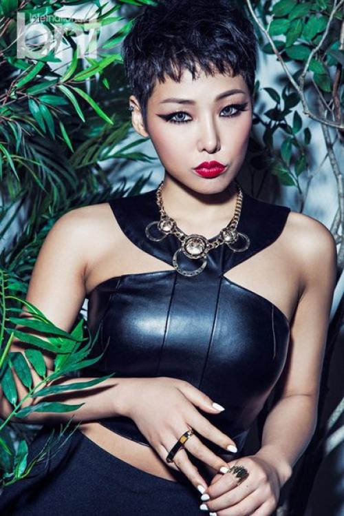 News. WTG_News Cheetah. 01