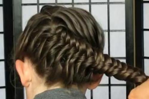 Улитка из рыбьего хвост@. 02 Улитка из рыбьего хвост@. 02